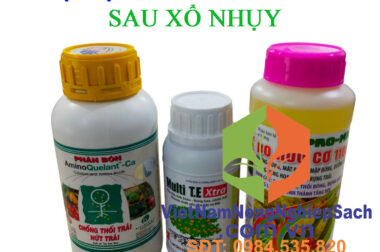 BỘ ĐẬU TRÁI SẦU RIÊNG CỰC MẠNH SAU XỔ NHỤY (SỐ 8)