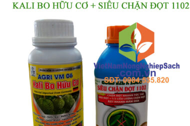 BỘ SẢN PHẨM CHẶN ĐỌT SẦU RIÊNG CỰC MẠNH VÀ HIỆU QUẢ