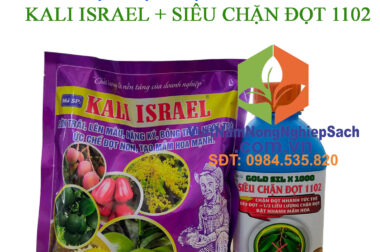 KALI ISRAEL + SIÊU CHẶN ĐỌT 1102 BỘ ĐÔI CHẶN ĐỌT SẦU RIÊNG