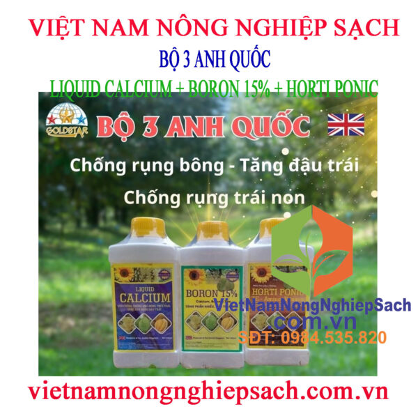 BỘ-3-ANH-QUỐC-500ML