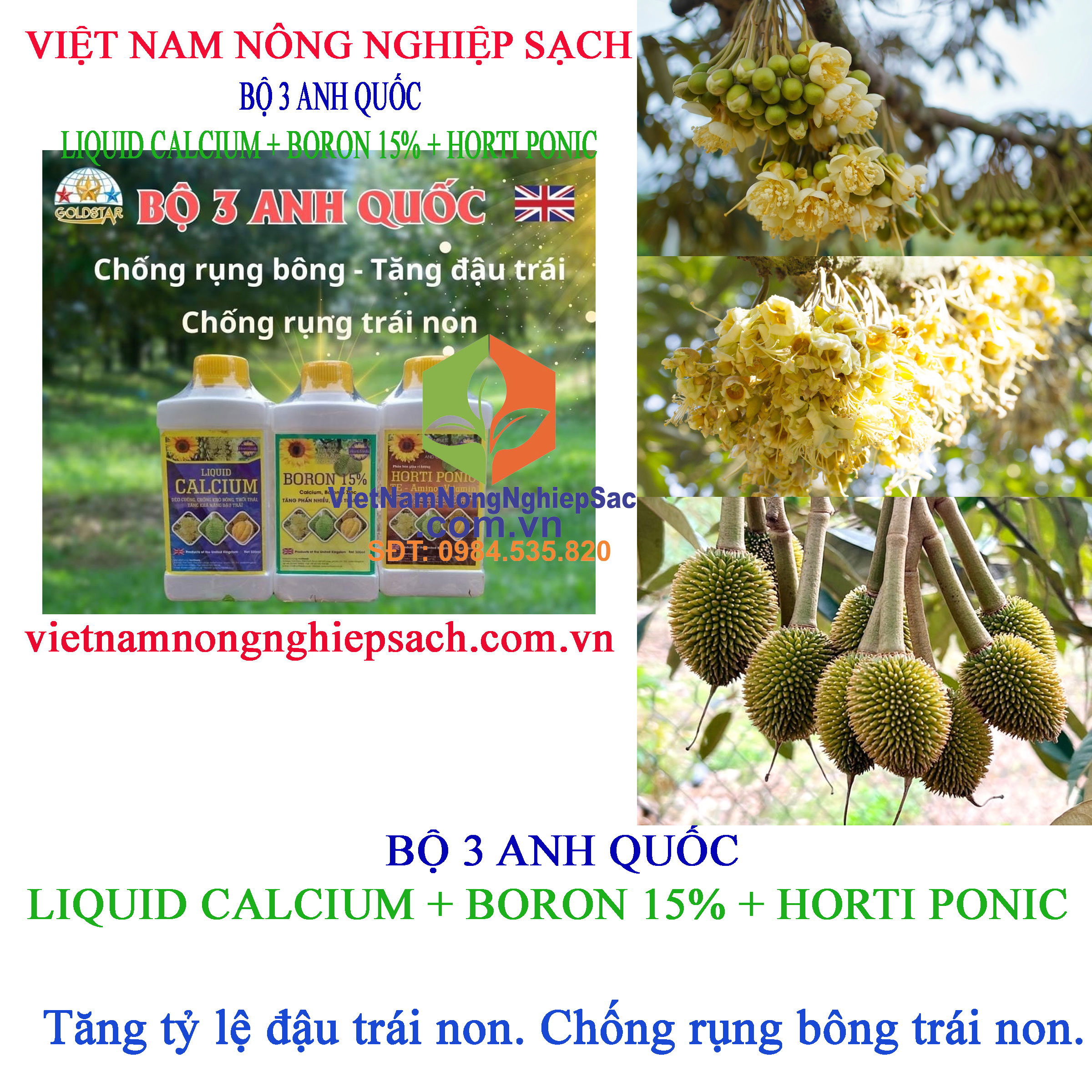 BỘ-3-ANH-QUỐC-ĐẬU-TRÁI