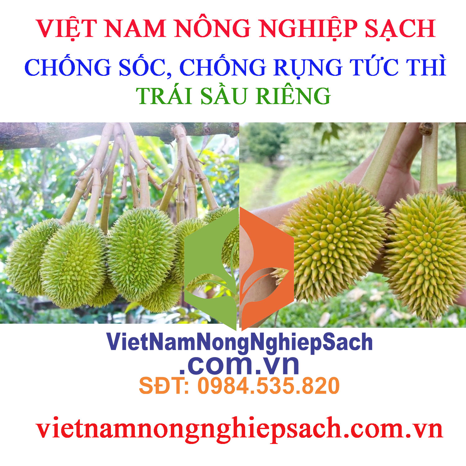 CHỐNG-RỤNG-TRÁI-SR