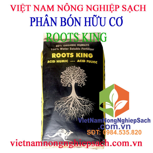 ROOTS-KING-KÍCH-RỄ