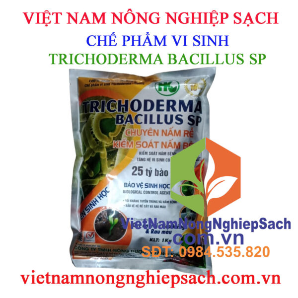 TRICHODERMA-BACILLUS-SP