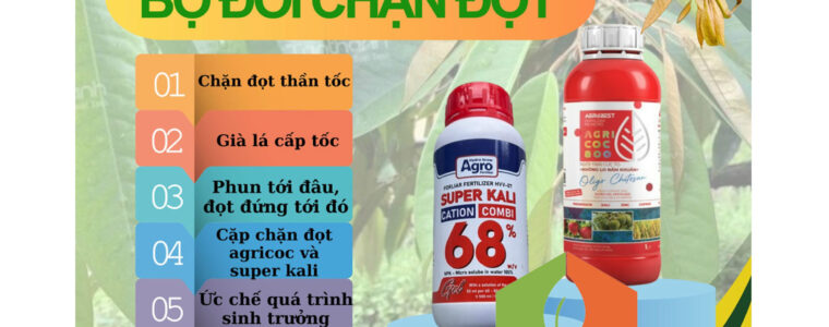 BỘ-ĐÔI-CHẶN-ĐỌT-SUPER-KALI-+-AGRI-COC-800