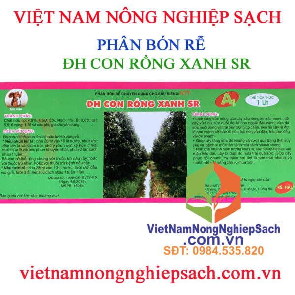 ĐH-CON-RỒNG-XANH-SR