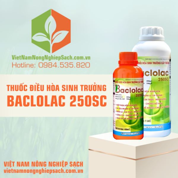 THUỐC ĐIỀU HÒA SINH TRƯỞNG BACLOLAC 250SC