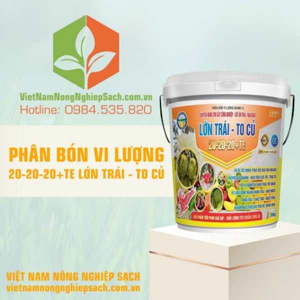 PHÂN BÓN VI LƯỢNG 20-20-20+TE LỚN TRÁI – TO CỦ