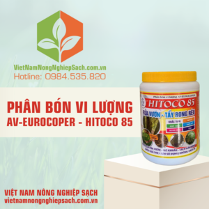 PHÂN BÓN VI LƯỢNG AV-EUROCOPER - HITOCO 85