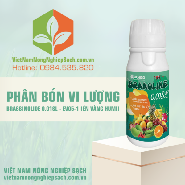 PHÂN BÓN VI LƯỢNG BRASSINOLIDE 0.01SL – EV05-1 (ÉN VÀNG HUMI)