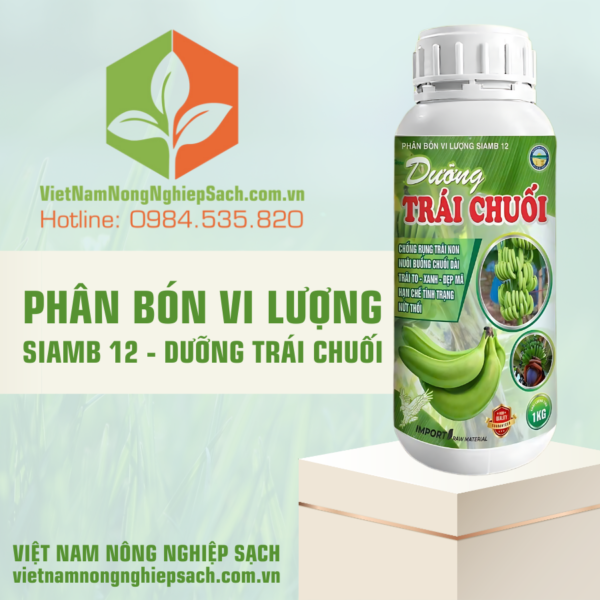 PHÂN BÓN VI LƯỢNG SIAMB 12 – DƯỠNG TRÁI CHUỐI