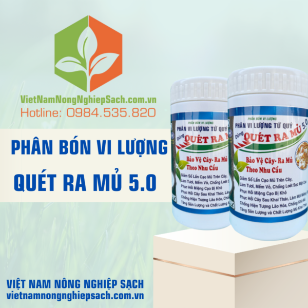 QUÉT RA MỦ 5.0 – vietnamnongnghiepsach.com.vn 2