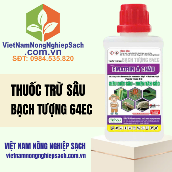 BẠCH TƯỢNG 64EC