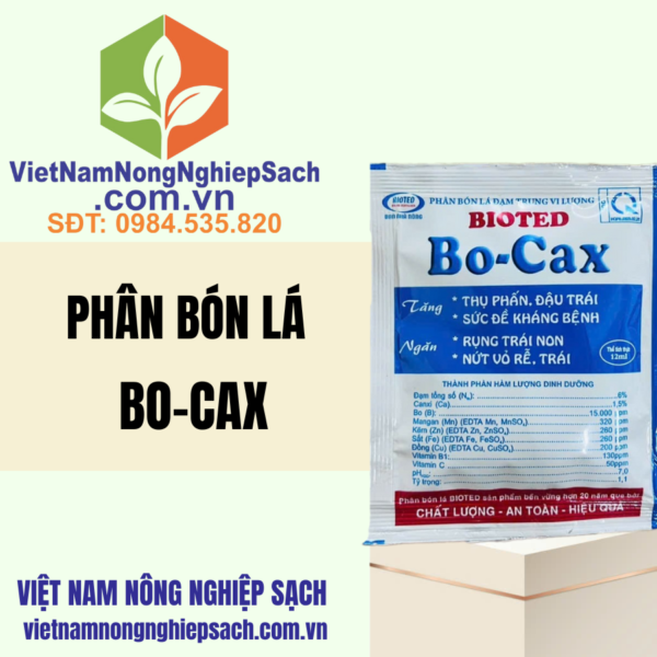 BO-CAX