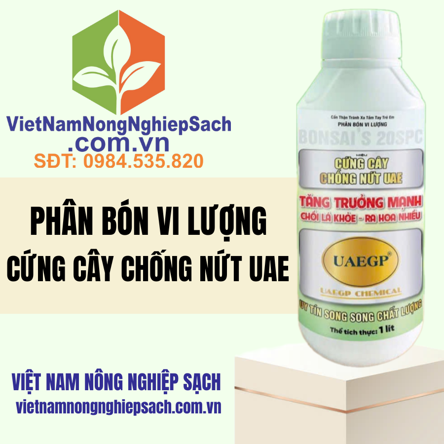 CỨNG CÂY CHỐNG NỨT UAE