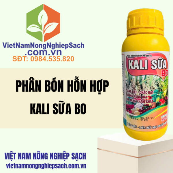 KALI SỮA BO