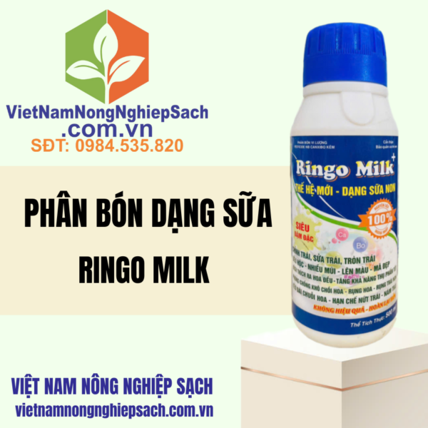 RINGO MILK