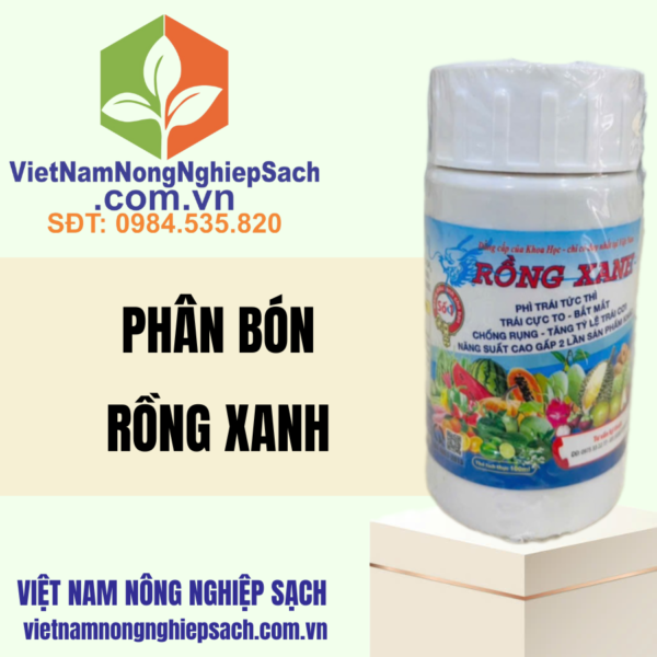 RỒNG XANH