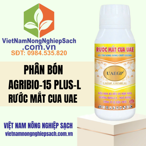 RƯỚC MẮT CUA UAE