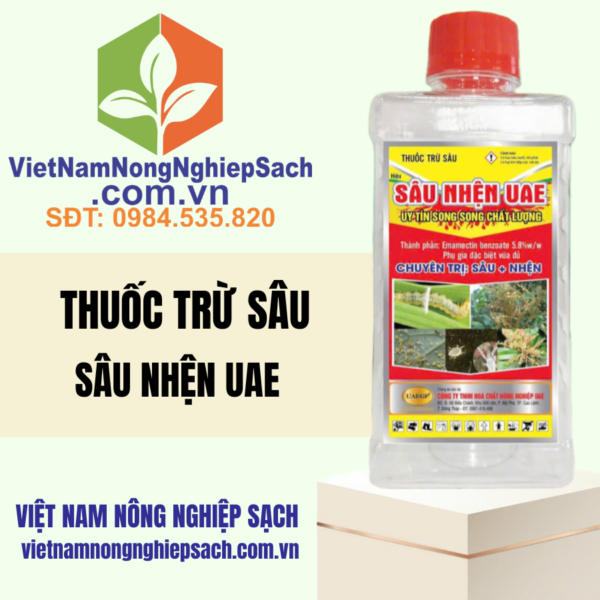 SÂU NHỆN UAE