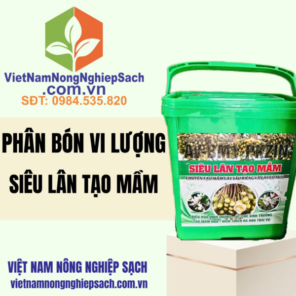 SIÊU LÂN TẠO MẦM