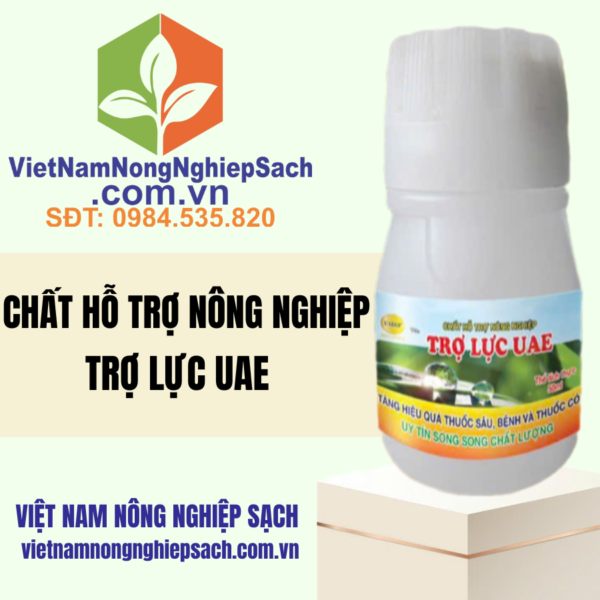 TRỢ LỰC UAE