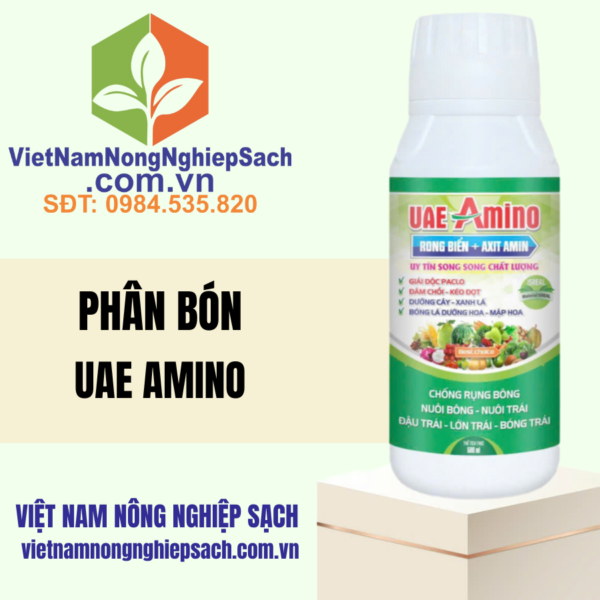 UAE AMINO