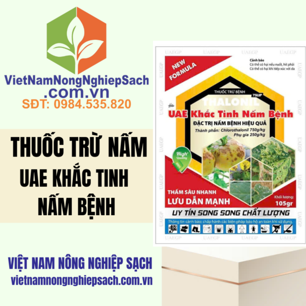 UAE KHẮC TINH NẤM BỆNH