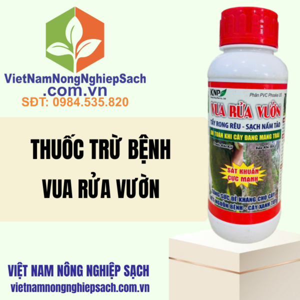 VUA RỬA VƯỜN