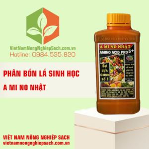 A MI NO NHẬT