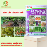 AA MÃNH HỔ (2)