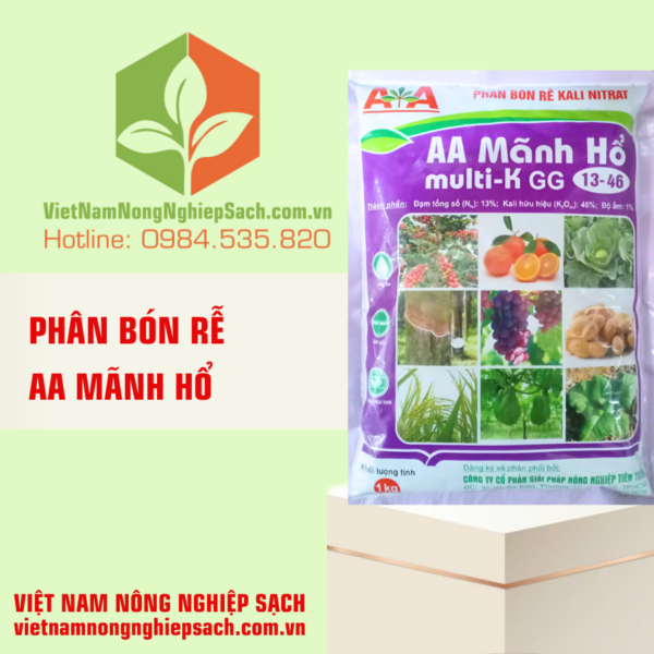 AA MÃNH HỔ