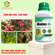 AMINO G+ (2)