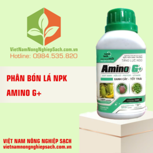 AMINO G+