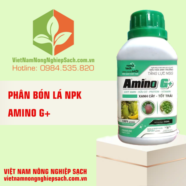 AMINO G+