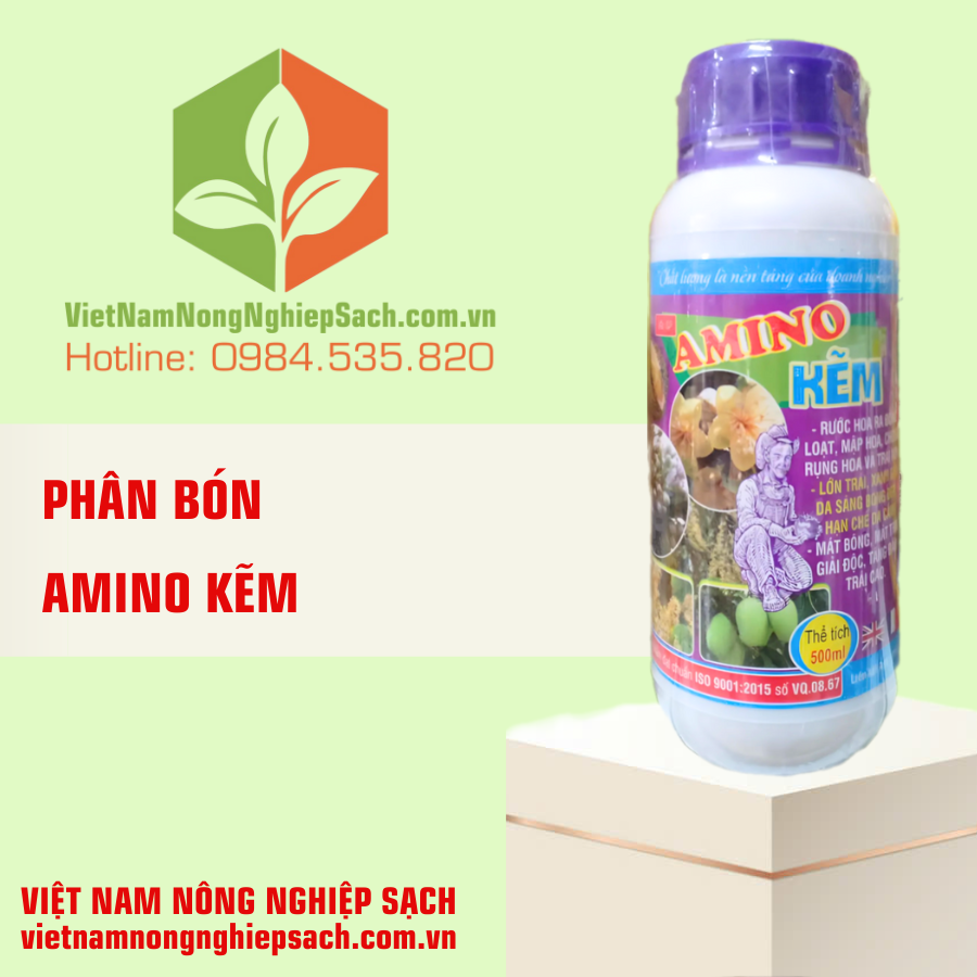 AMINO KẼM