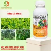 AMINO PRO (2)