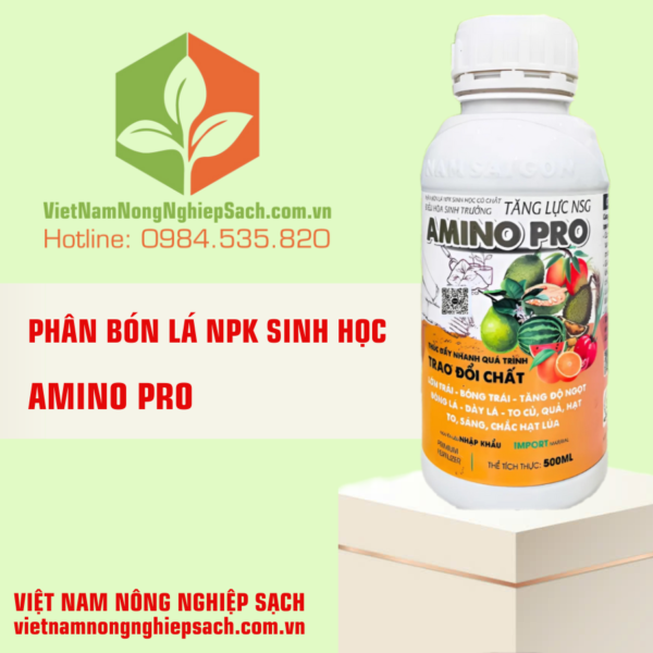 AMINO PRO