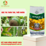 ANTRACOL 70WG (2)