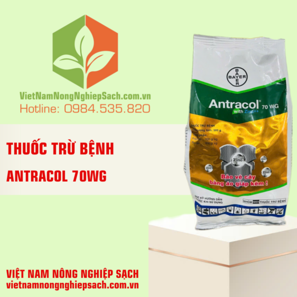 ANTRACOL 70WG