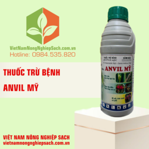 ANVIL MỸ