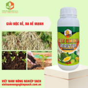 BEE AMINO BOOSTER (2)