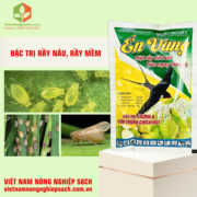 BUCCAS 120WP – HIỆU ÉN VÀNG (3)