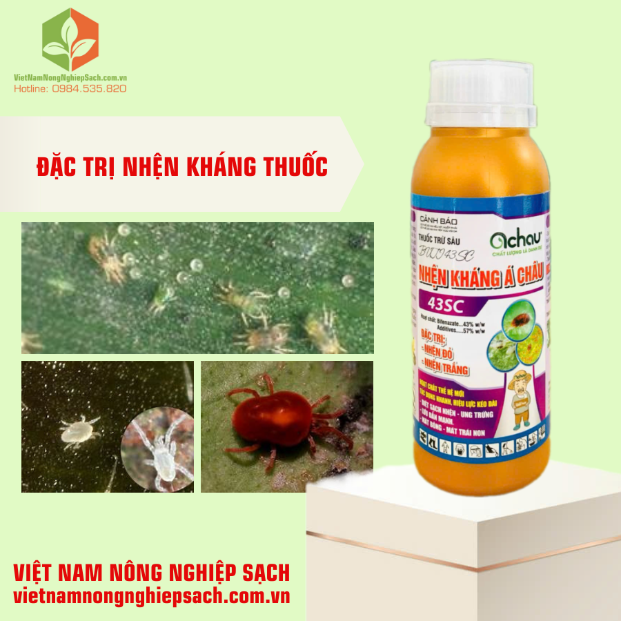 BUTI 43SC – HIỆU NHỆN KHÁNG Á CHÂU (3)