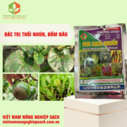 DAONE 25WP – HIỆU VUA SẠCH KHUẨN (2)