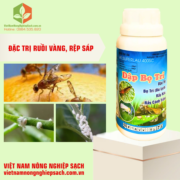 DẬP BỌ TRĨ (2)