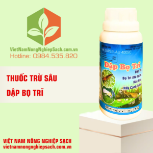 DẬP BỌ TRĨ