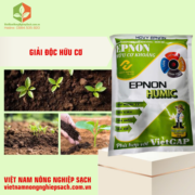 EPNON HUMIC (2)