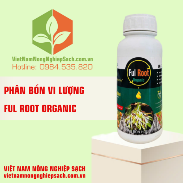 FUL ROOT ORGANIC