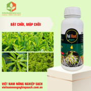 FUL ROOT ORGANIC (2)